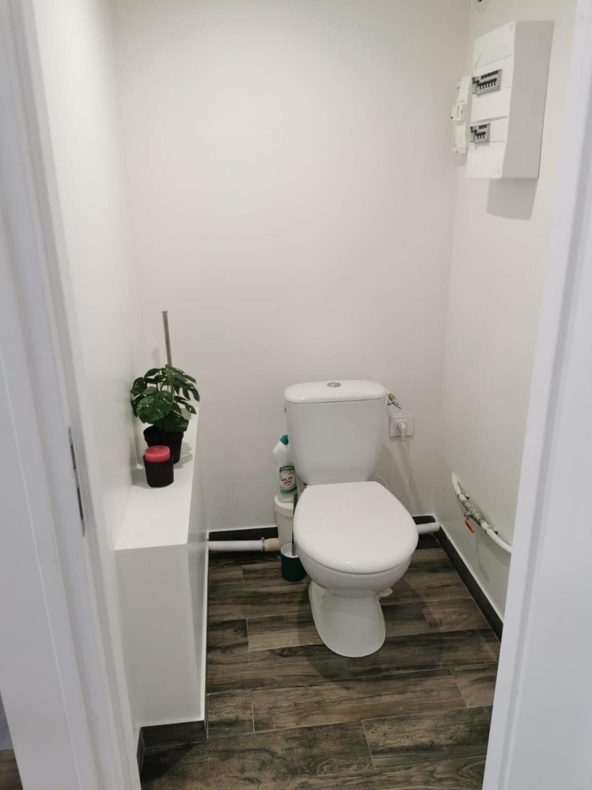 Le Comptoir Des Grenouilles Appartement